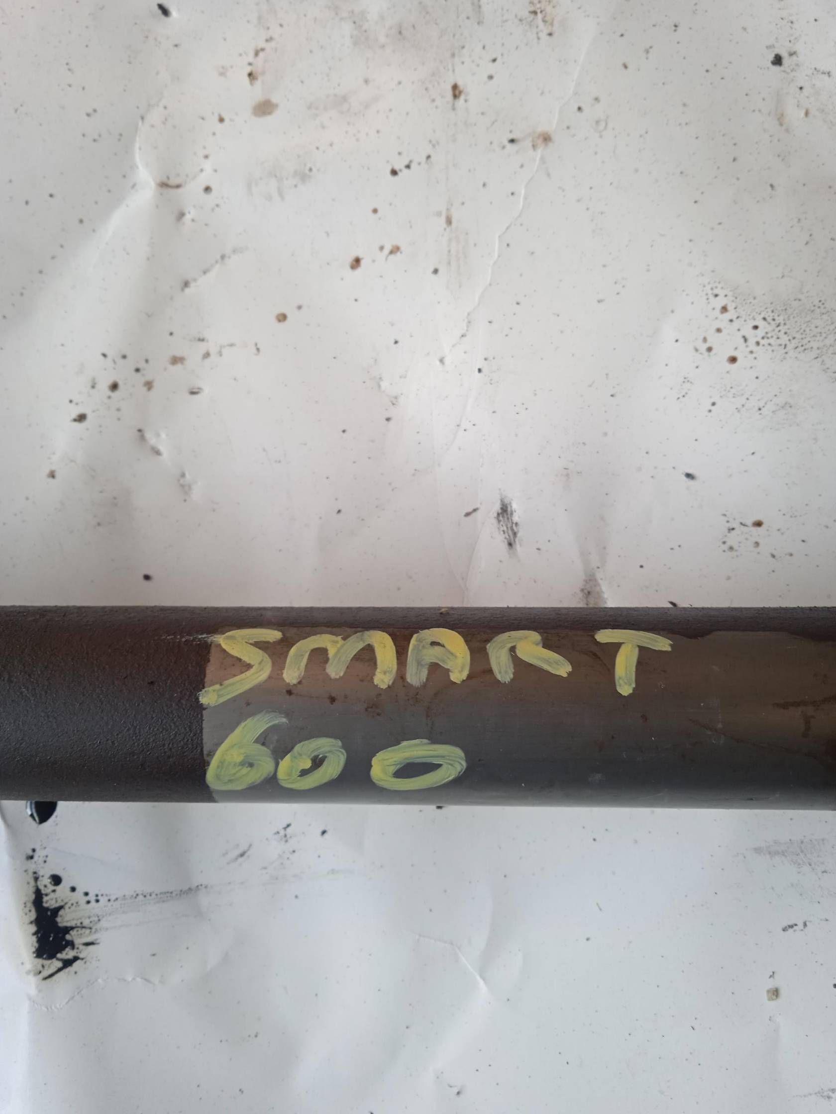 Semialbero ant. compl. dx.